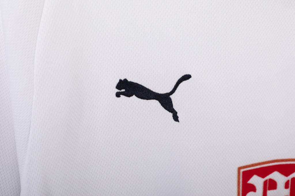 Tottenham Hotspur 2008/09 (Home Kit)