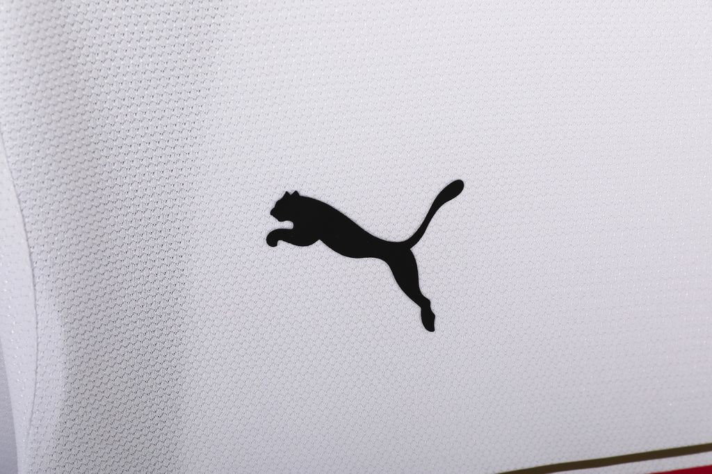 Tottenham Hotspur 2006/07 (Home Kit)