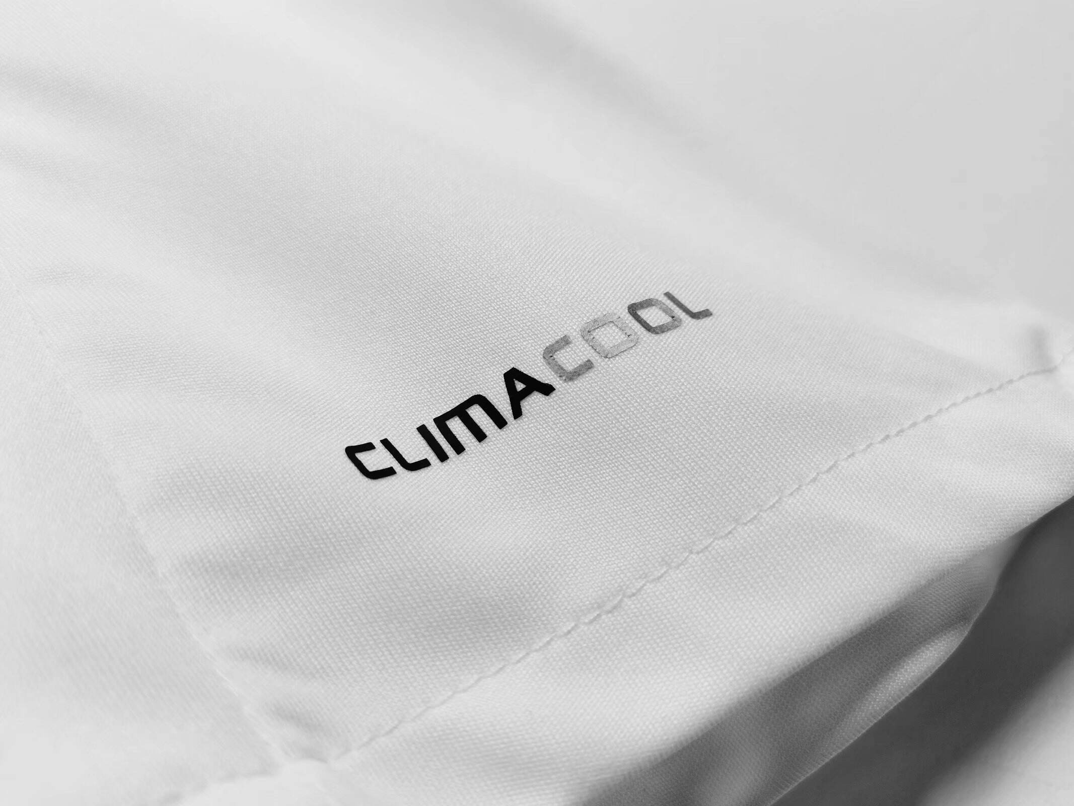 Real Madrid 2011/12 (Home Kit)