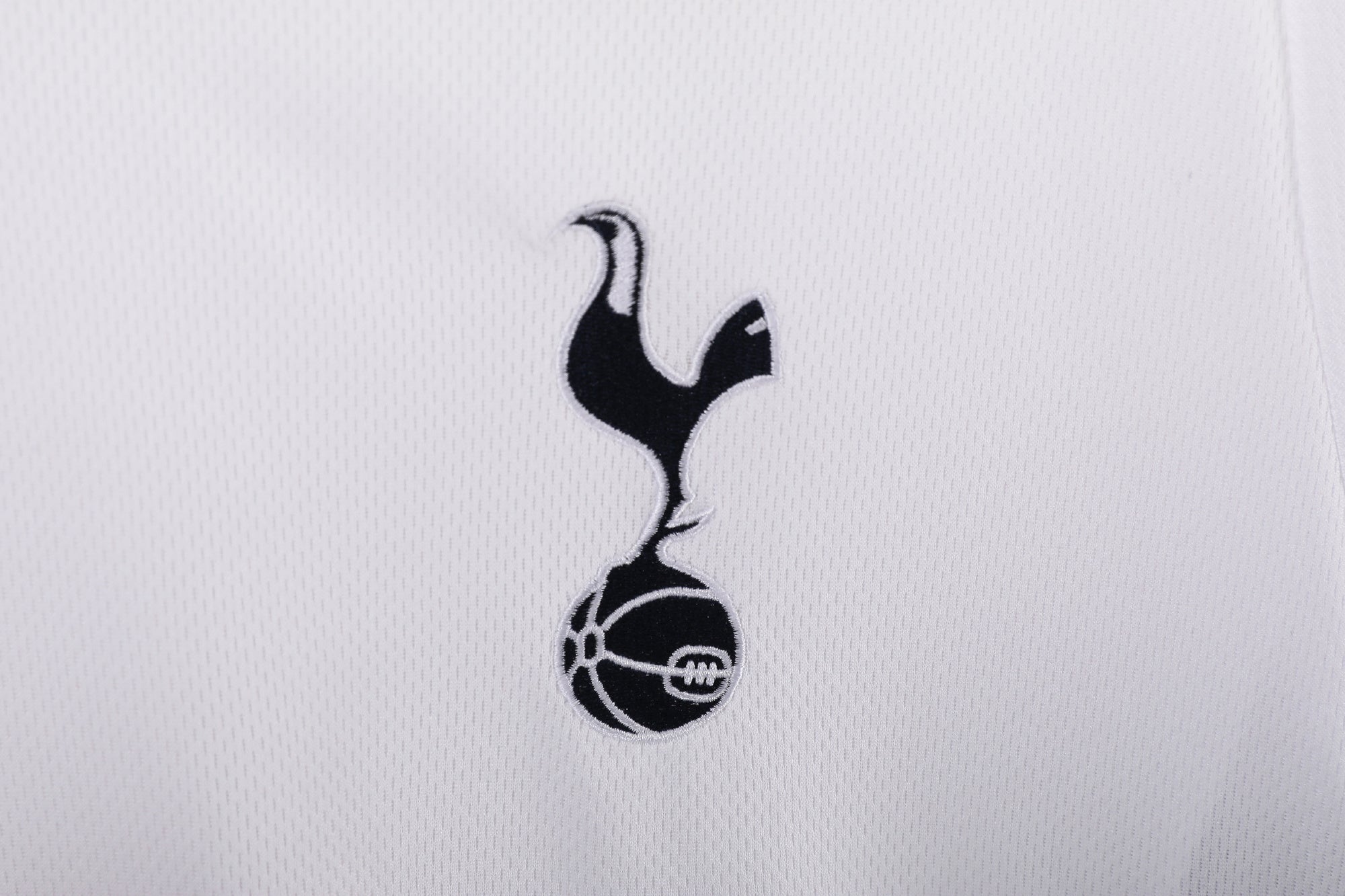 Tottenham Hotspur 2008/09 (Home Kit)