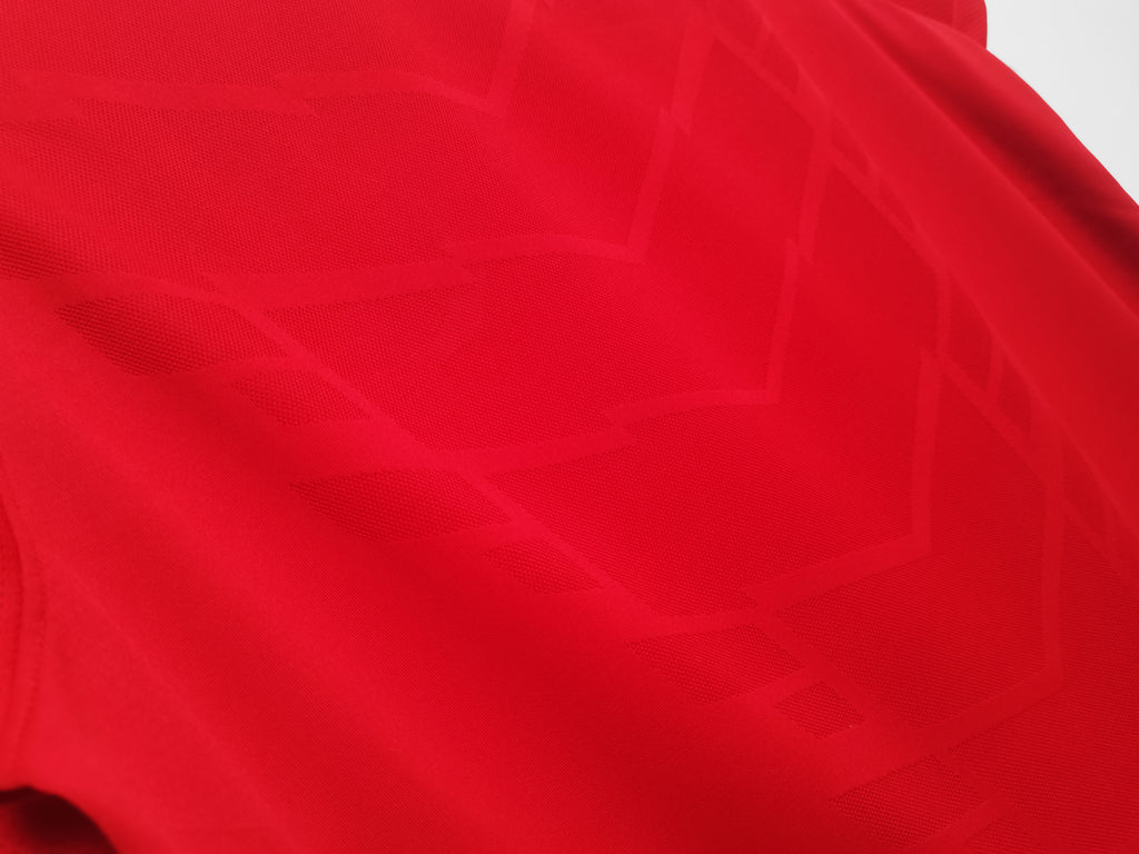 Manchester United 2010/11 (Home Kit)